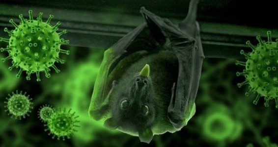 Китайски учени от лабораторията в Ухан обявиха нова опасност от